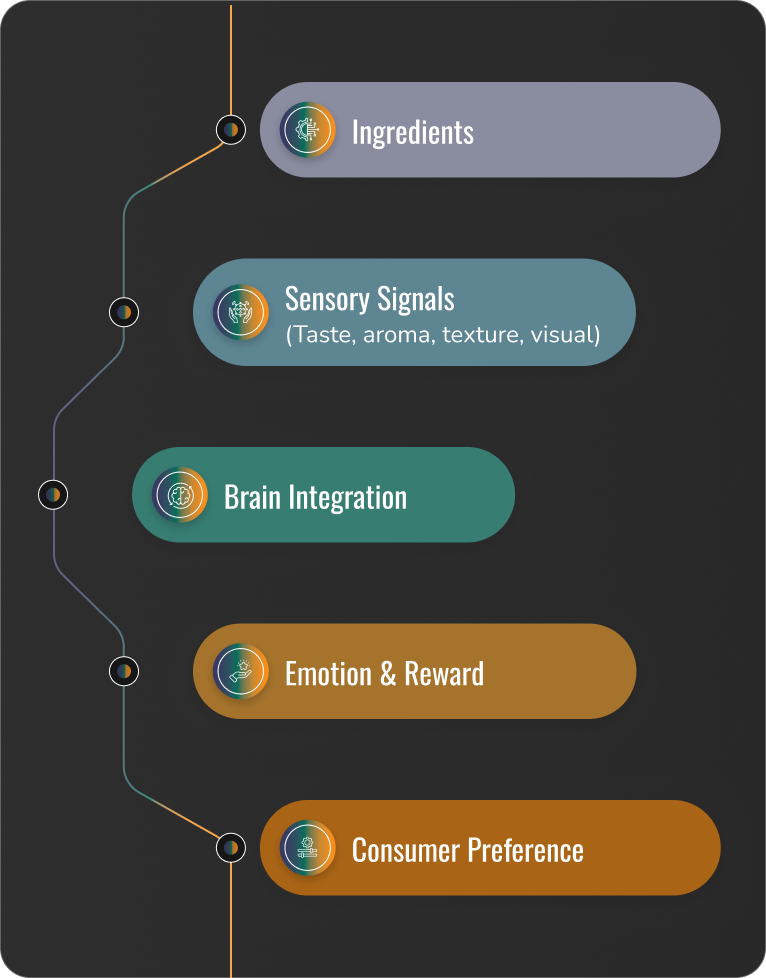 THE NEUROSCIENCE OF FLAVOR